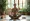 Balancing Body and Mind: Essential Practices for Mental Wellness