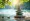 Achieve Balance in Mind: 4 Steps for Mental Clarity and Healing