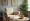 Understanding Trauma Induced OCD: Symptoms and Treatment Options