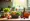 What is the Best Vitamin for Stress and Anxiety Relief?