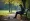 Break Free from the Trauma Bond Cycle: A Step-by-Step Guide